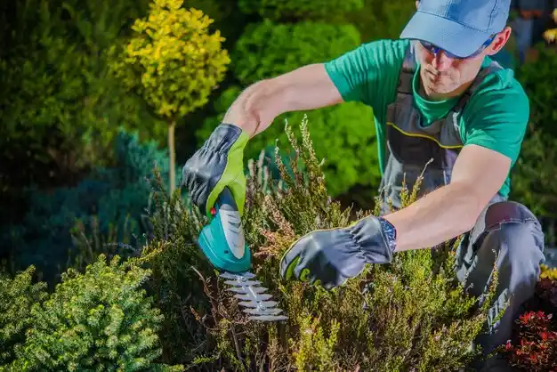 landscaping services Harbor Isle